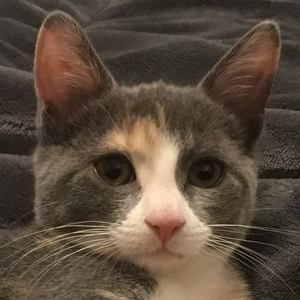 Meet your Posher, Mary